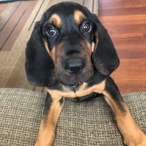 Meet your Posher, Kylie